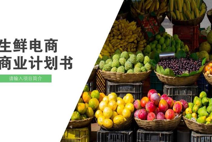 生鲜电商计划书,生鲜电商计划书ppt 生鲜电商计划书,生鲜电商计划书ppt