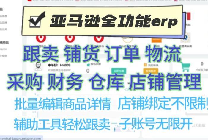亚马逊erp系统有哪些 亚马逊erp系统有哪些品牌