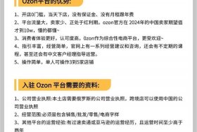 俄罗斯跨境电商平台ozon - 俄罗斯跨境电商平台ozon入驻条件