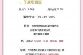 东南亚跨境电商网（东南亚跨境电商网购年龄层图表）