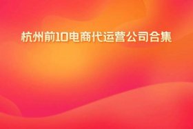 杭州电商平台公司 杭州电商平台公司有哪些