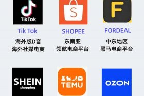 有哪些跨境电商平台不用信用卡的；哪个跨境电商平台不收费