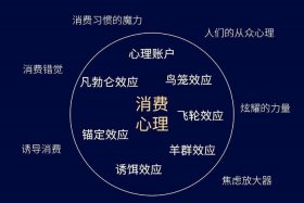 电商心智是什么意思、什么是电商心得