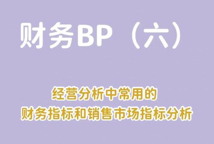 电商财务bp是什么意思（电商财务bp是什么意思啊）