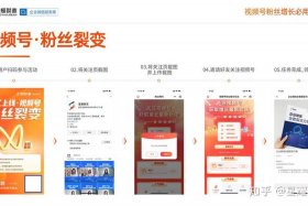 电商带货视频怎么做、电商带货视频怎么做的