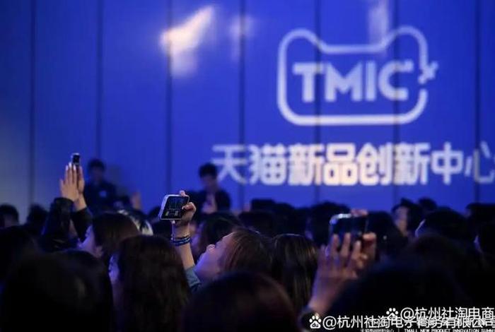社淘电商平台（杭州社淘电子商务有限公司怎么样）