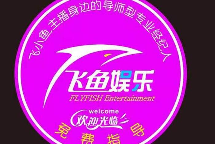 飞鱼电商 飞鱼电商集团 飞鱼电商 飞鱼电商集团