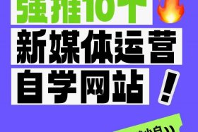 新媒体电商新手入门（新媒体电商新手入门知识）