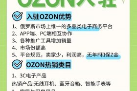 俄罗斯跨境电商平台ozon怎么样；俄罗斯电商平台ozon中文