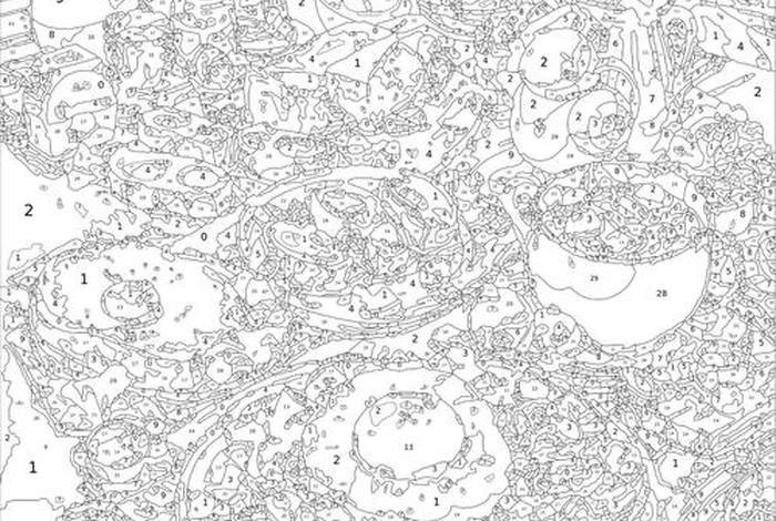 大学毕业论文数字油画电商主题、大学毕业论文数字油画电商主题怎么写 大学毕业论文数字油画电商主题、大学毕业论文数字油画电商主题怎么写