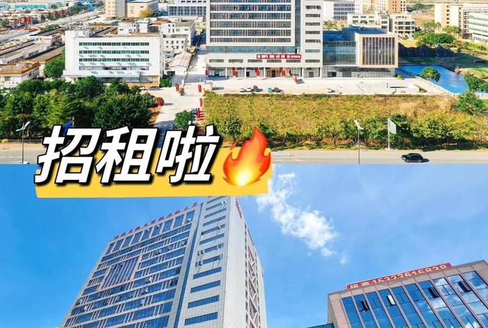 电商大厦主要经营什么 电商大厦主要经营什么产品