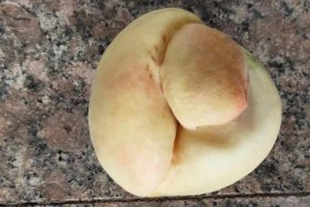 桃子平台是什么 - 桃子是什么账号