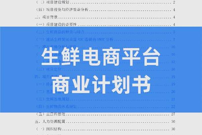 如何开电商平台计划书（如何撰写电商平台的商业计划书）