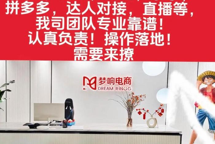 梦响电商成立于哪一年（杭州梦响电商）