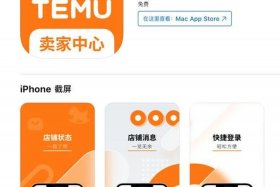 temu跨境电商卖什么好 - 跨境电商平台卖什么好