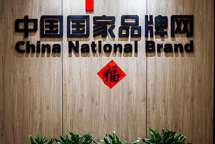 电商服务中国（中国品牌电商服务商）