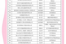 苏州电商公司排名 - 苏州电商公司排名前十