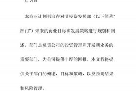 电商投资项目 - 电商项目投资计划书