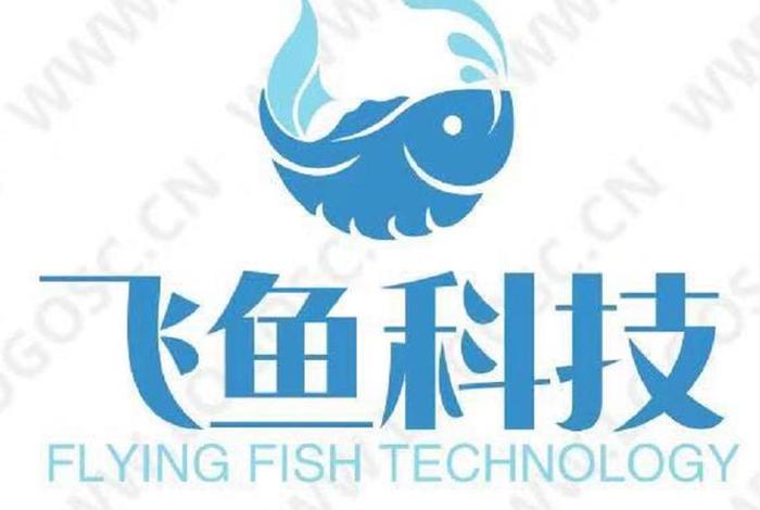 飞鱼电商 飞鱼电商集团 飞鱼电商 飞鱼电商集团