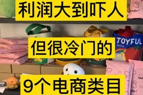 电商卖什么利润大不压货（电商卖货卖什么比较好）