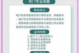 二类电商 二类电商选品师