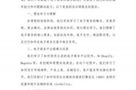 电商运营与推广实训报告总结 - 电商运营与推广实训报告总结与反思