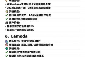 俄罗斯跨境电商平台推荐（俄罗斯跨境电商平台推荐有哪些）