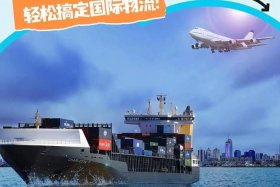 新加坡电商跨境平台（新加坡电商跨境平台有哪些）