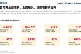 抖音电商销售额 - 2024抖音电商销售额