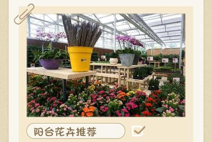 跨境电商园艺产品包括什么;跨境电商园艺产品包括什么类目 跨境电商园艺产品包括什么;跨境电商园艺产品包括什么类目