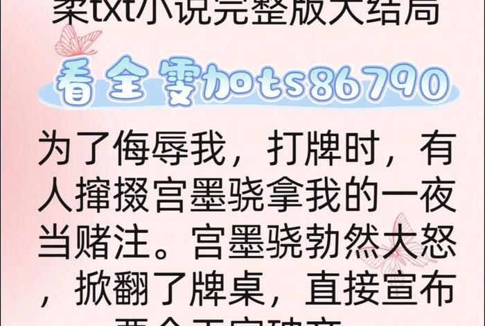 电商天才太子 电商天才太子小说