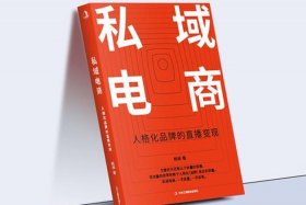 私域电商什么意思啊；私域电商是什么意思