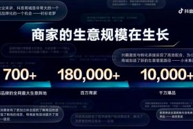 电商小助手魏雯雯，电商小助手魏雯雯简介