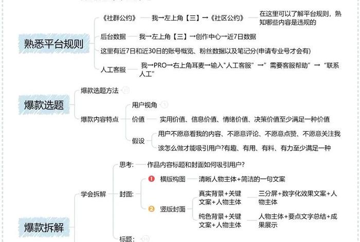 电商起号、电商起号流程 电商起号、电商起号流程