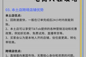 tk跨境电商平台佣金 跨境电商佣金推广平台
