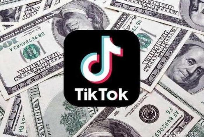 tiktok电商网页 tiktok电商网页版 tiktok电商网页 tiktok电商网页版
