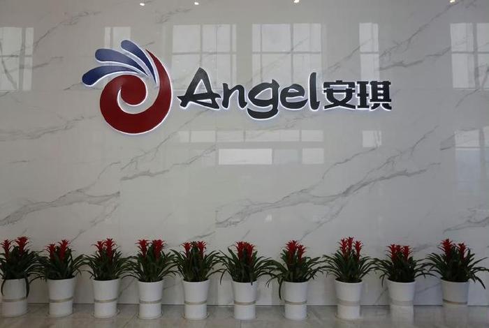 安琪电商公司简介、安琪电商公司简介图片 安琪电商公司简介、安琪电商公司简介图片