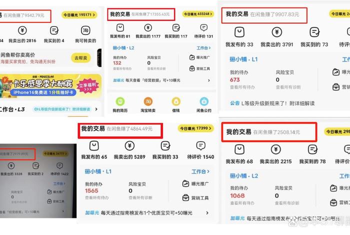 闲鱼电商是什么项目；闲鱼电商是什么项目类型