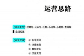 如何运营视频号，如何运营视频号赚钱