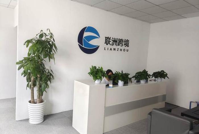 电商一般是什么公司、电商一般是什么公司做的 电商一般是什么公司、电商一般是什么公司做的