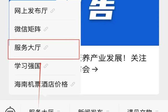 海南跨境电商公共服务平台，海南跨境电商公共服务平台登录
