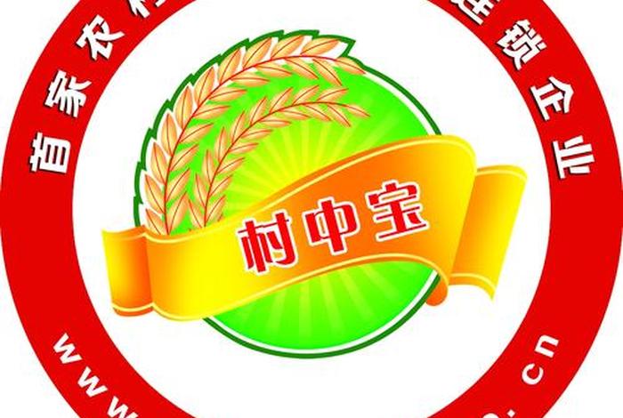 农村电商平台入口 - 农村电商平台入口官网