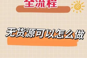 怎么做闲鱼无货源电商、怎么做闲鱼无货源电商赚钱