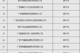 广西跨境电商企业名单 广西跨境投资有限公司