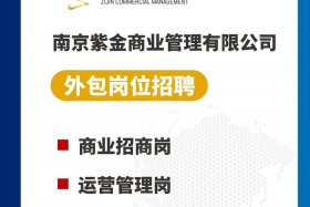 南京电商运营公司，南京电商运营公司招聘
