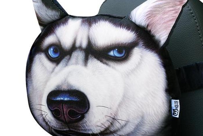 哈士奇电商插件工具官网（哈士奇店群插件）