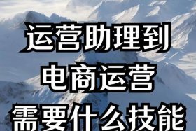 电商 运营电商公司是干嘛的，电商 运营电商公司是干嘛的啊