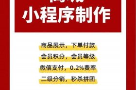 分销电商怎么做、分销电商怎么做的