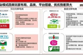 生鲜农产品电商供应链面临的问题 - 生鲜农产品电商供应链面临的问题及对策