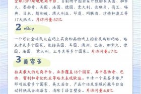 怎么开跨境电商平台（怎么开跨境电商平台店铺）